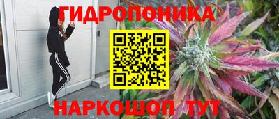 ECSTASY Малгобек